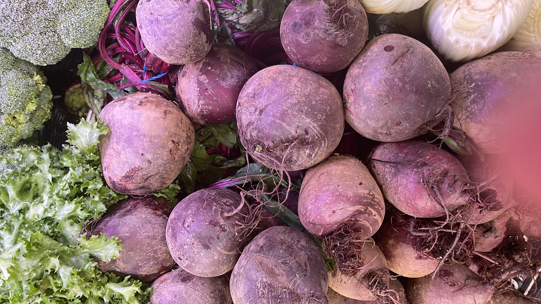 Fresh beets and vegetables