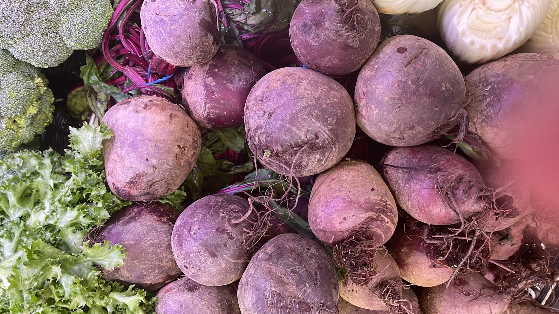 Fresh beets and vegetables