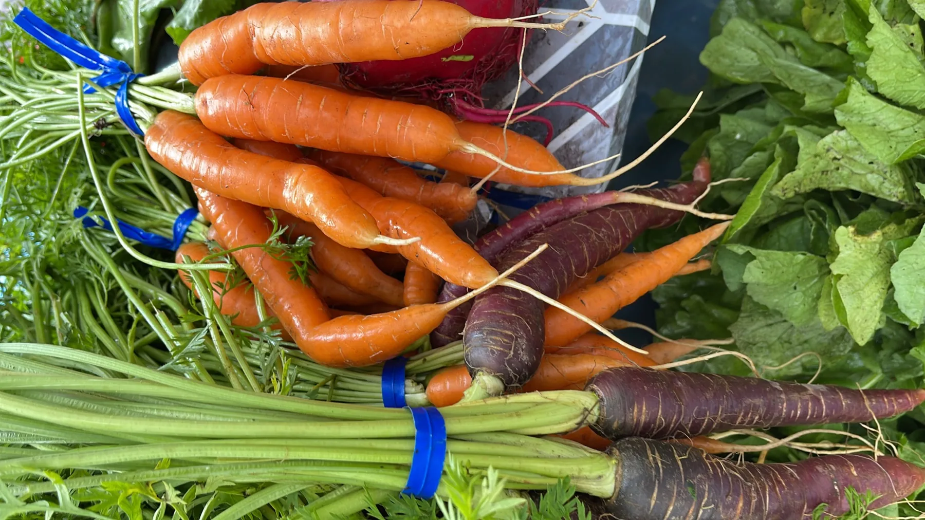 Fresh carrots and vegetables at the market