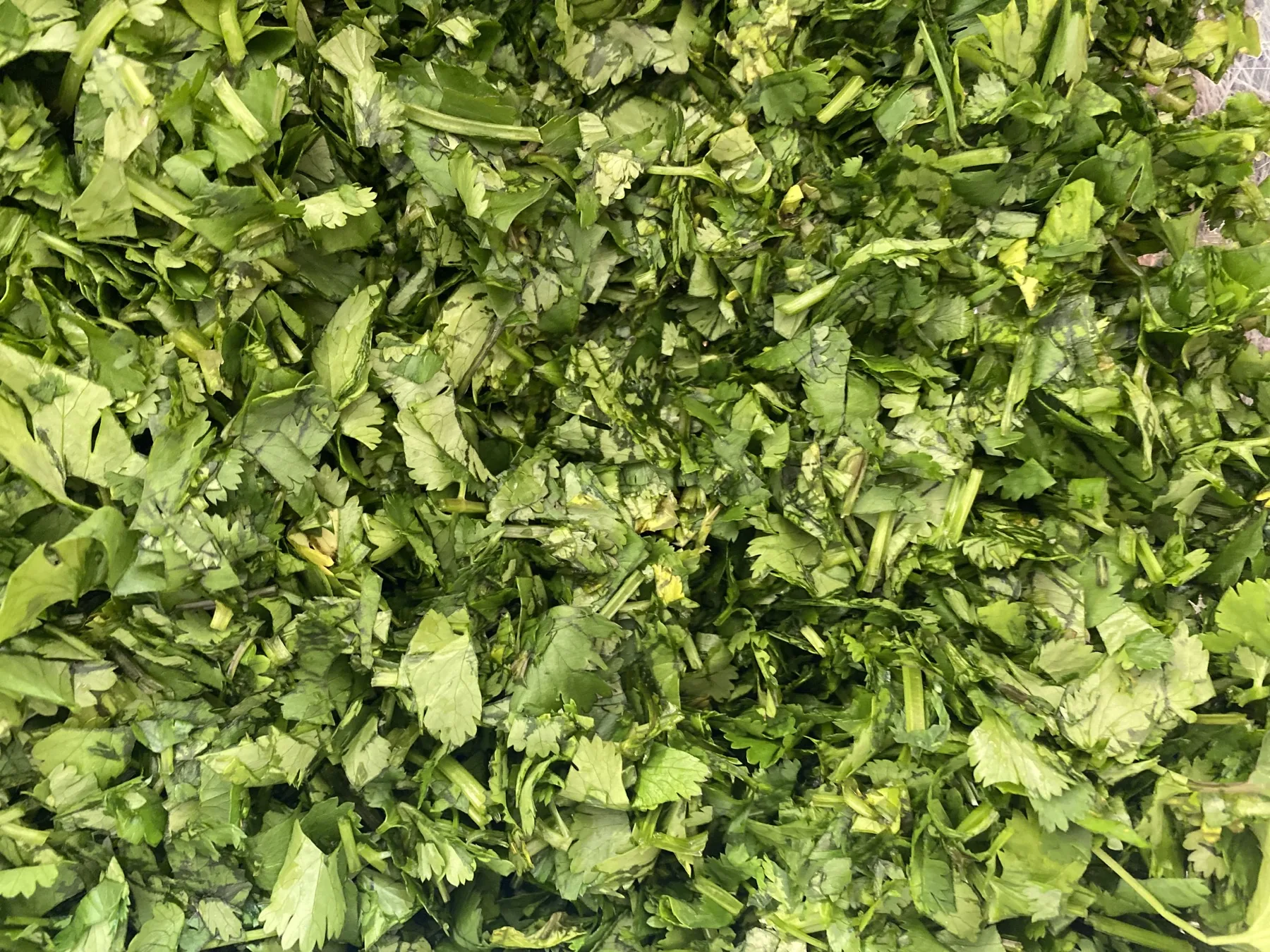 Fresh green herbs ready for cooking