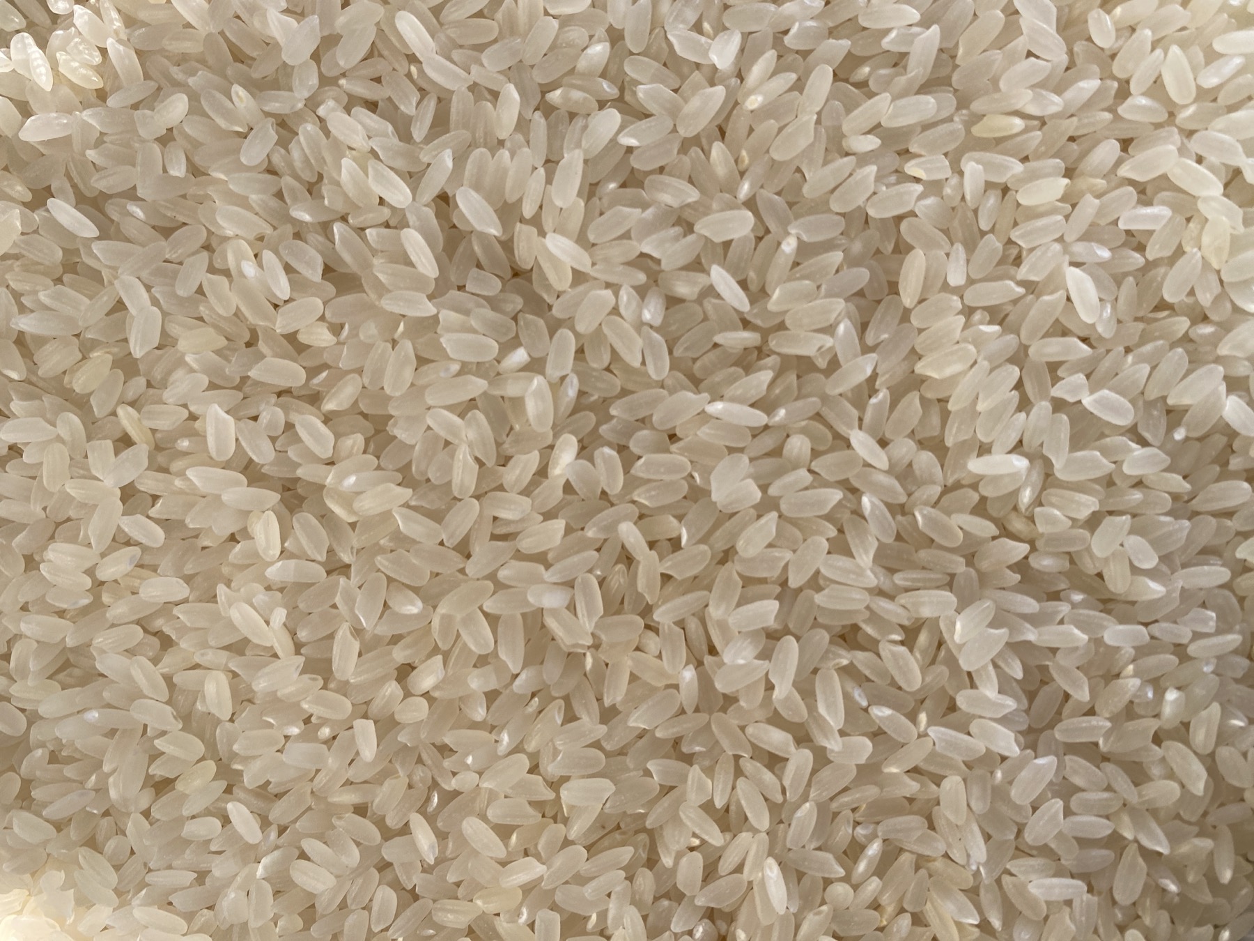 Close-up of uncooked rice